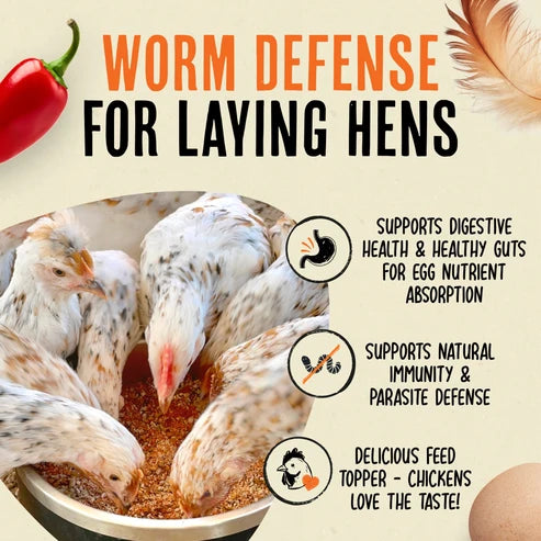 Naturals Flock Armor Chicken De-wormer Chili Mix, 16oz