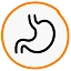 Gut Health Support